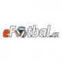 Logo-web-2021-eFotbal-1